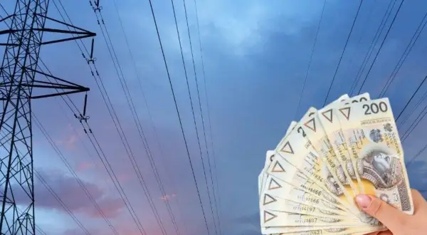 Dłoń trzyma banknoty 200 zł na tle linii energetycznych. Zastanawiasz się, ile kosztuje 1 kWh PGE?