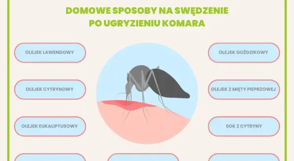 Domowe sposoby na komary i swędzenie po ugryzieniu: olejki, sok z cytryny, zimne okłady, plastry z aloesu.