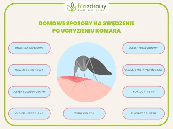Domowe sposoby na komary i swędzenie po ugryzieniu: olejki, sok z cytryny, zimne okłady, plastry z aloesu.